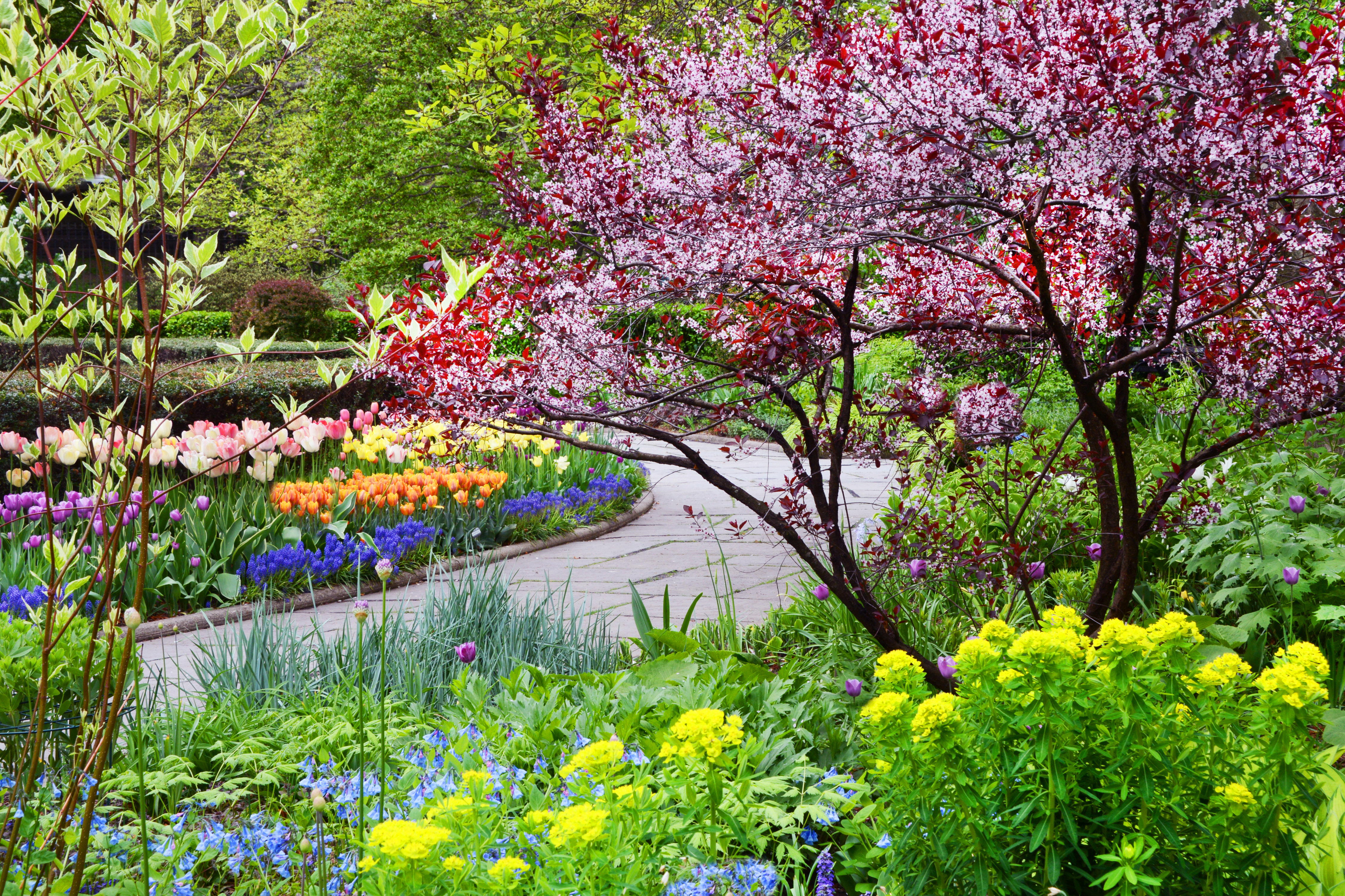 Image Downloads The Official site of Central Park NYC