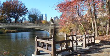 Bow Bridge Landing