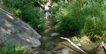 Ravine Before Restoration