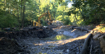Ravine During Restoration