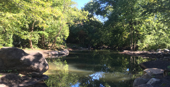 Ravine After Restoration