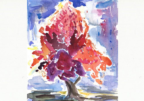 drawing class
