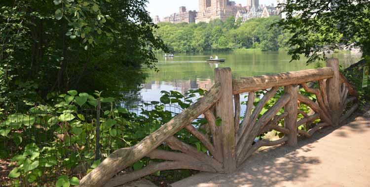 Rustic Bridge in the Ramble