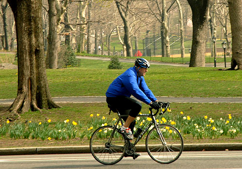 bike ride around central park