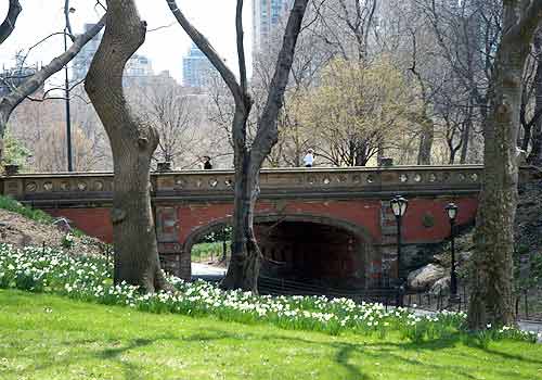 driprock arch