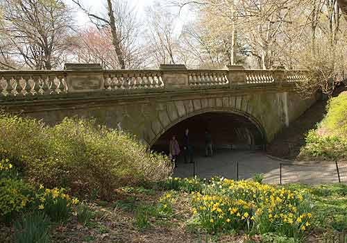 glade arch