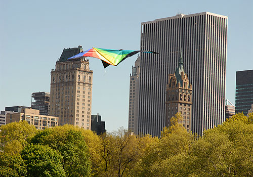 Kite Flying in Central Park