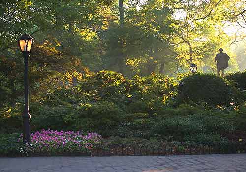 olmsted flowerbed