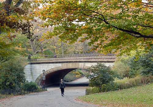 winterdale arch