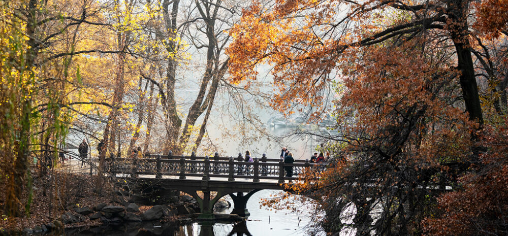 Oak Bridge, photographed in Autumn
