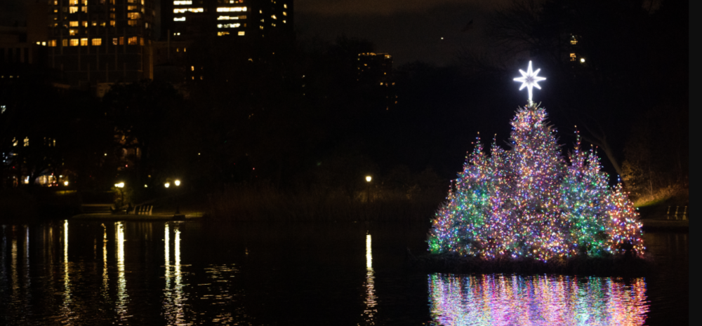 A small island of holiday trees with lights reflecting in the Meer