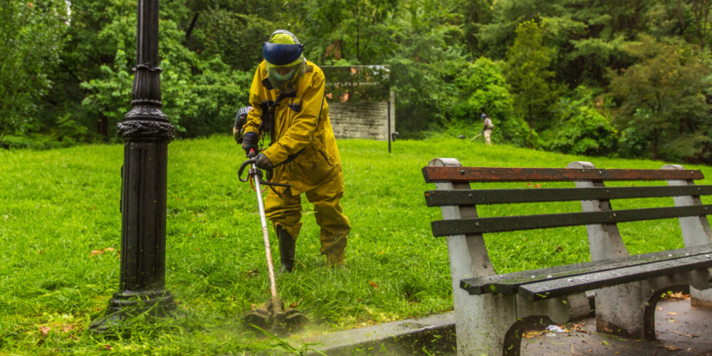 Caring for Parks in the Five Boroughs Central Park Conservancy