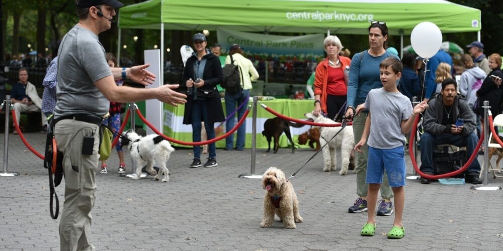 Press Release rect 2x Dog Fair 3