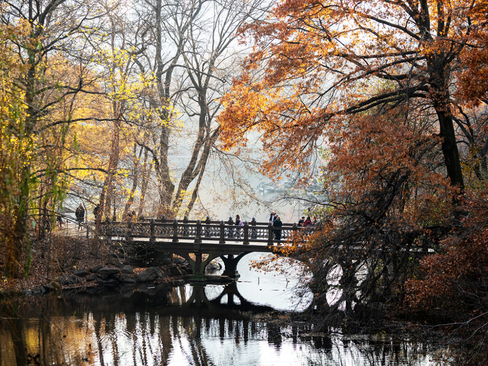 Oak Bridge, photographed in Autumn