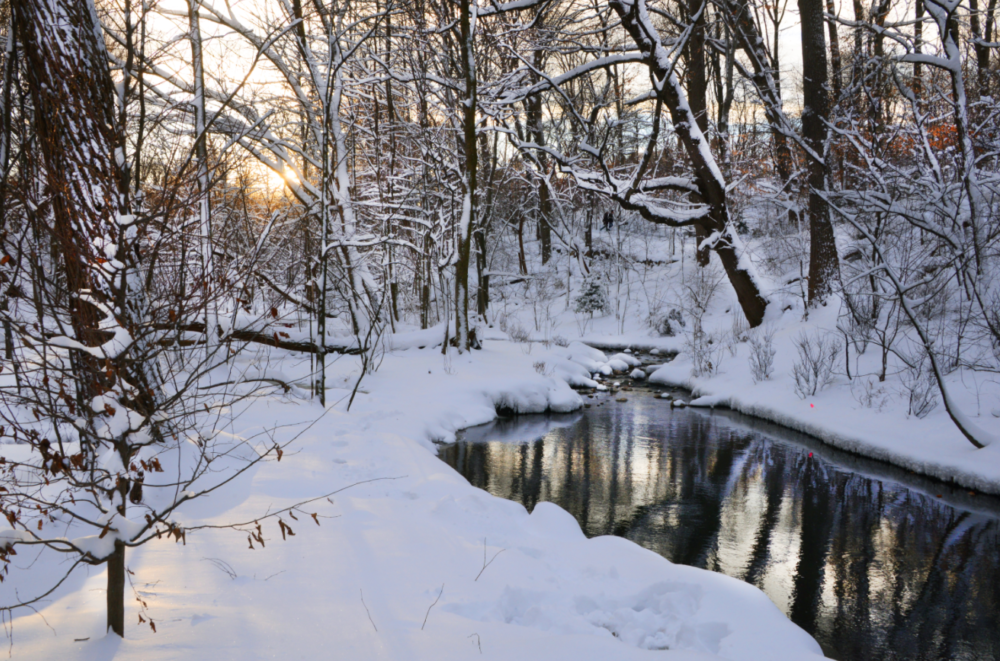 The stream running through the Ravine after a heavy snowfall