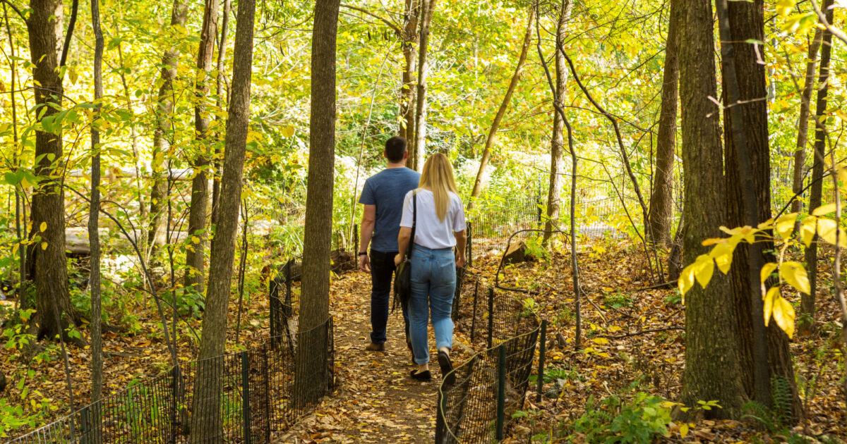 Central Park Foliage Map Guide To Fall Foliage In Central Park | Central Park Conservancy