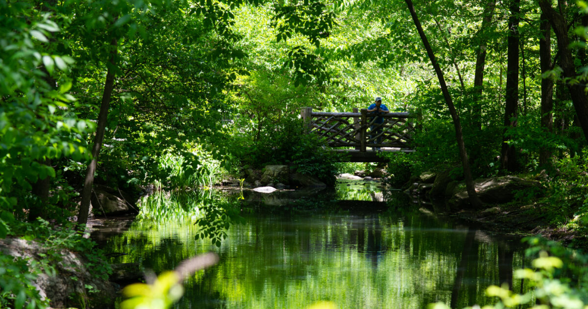 North Woods Central Park Conservancy