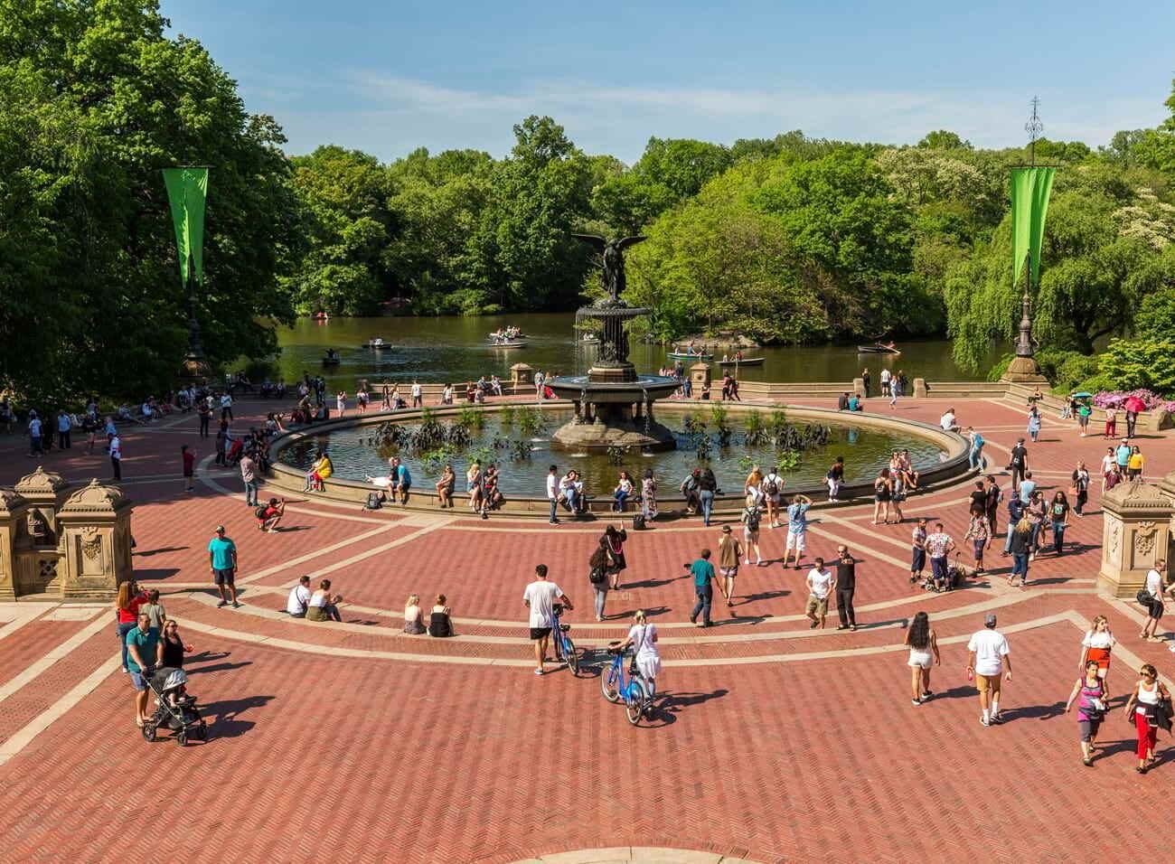 Sculpted Nature: Landscape Architecture in… | Central Park Conservancy