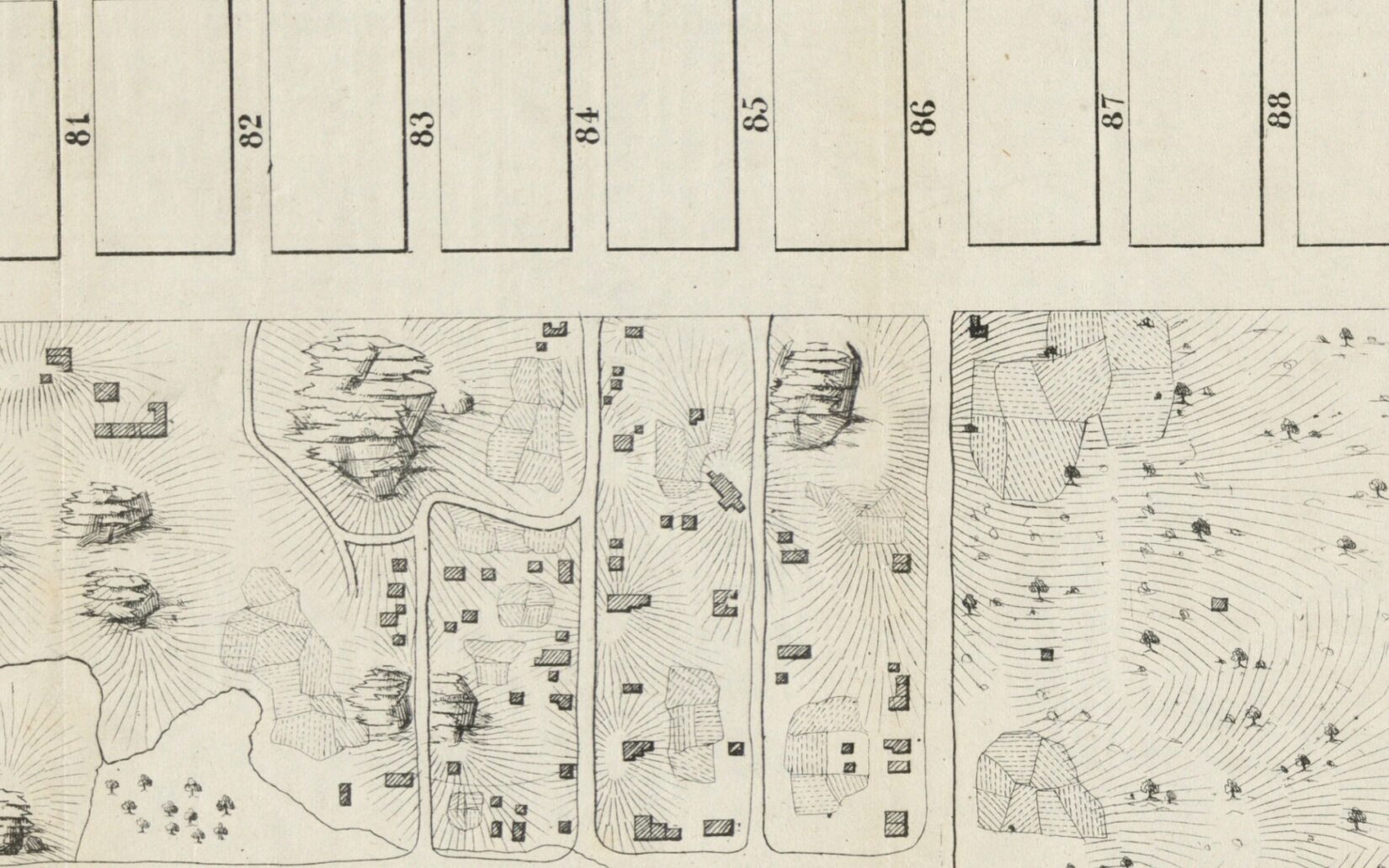 1856 Viele Large 1