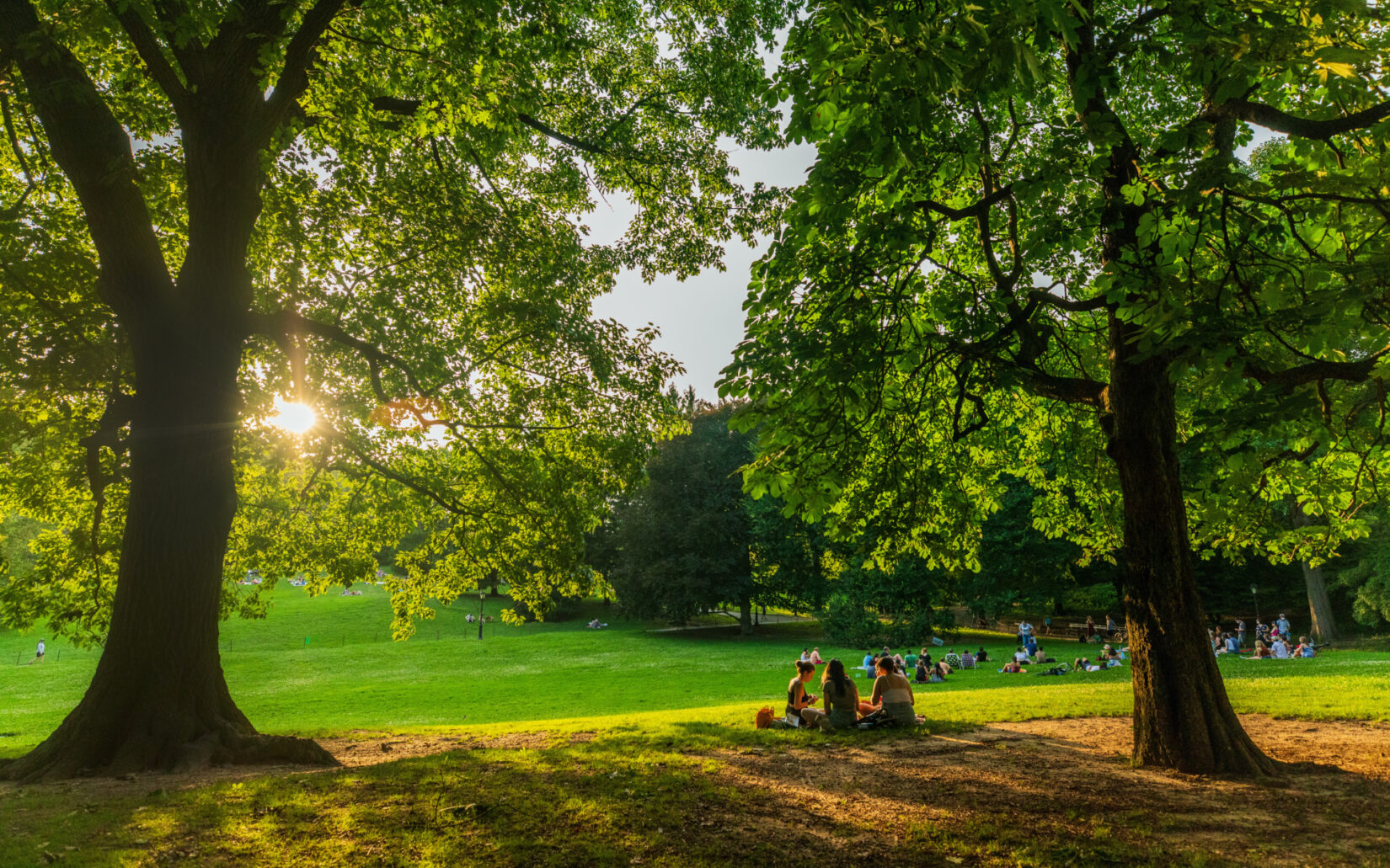 Visitors picnicking on Cedar Hill