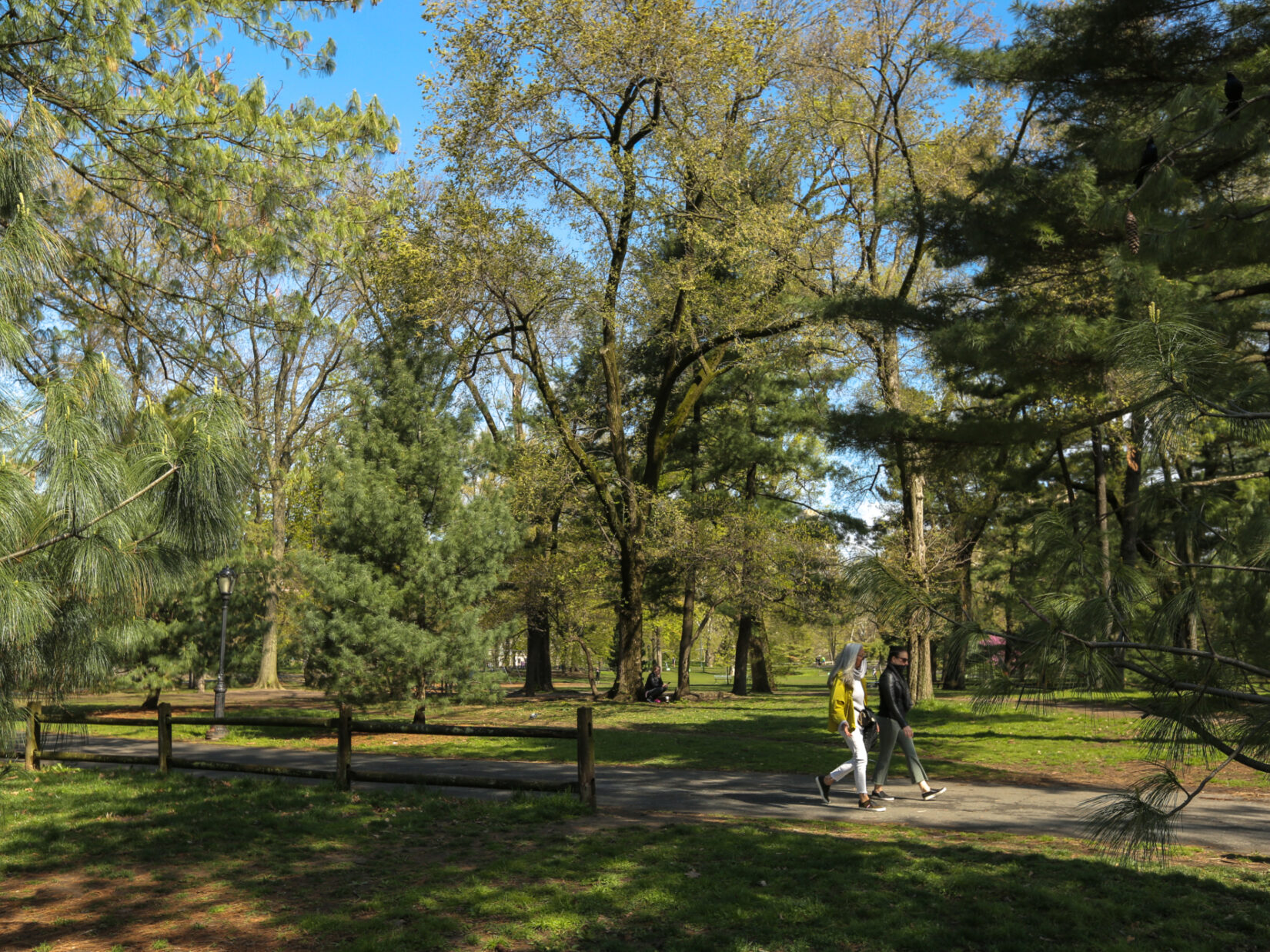 Two parkgoers stroll through the Arthur Rose Pinetum on a brisk, sunny day