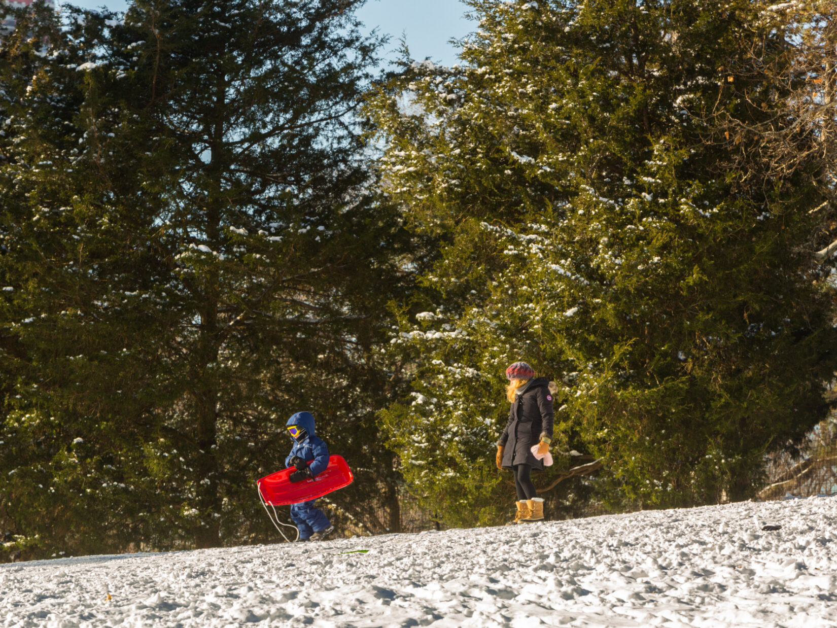 A child dressed for cold weather carries a red sled at the top of a snowy hill