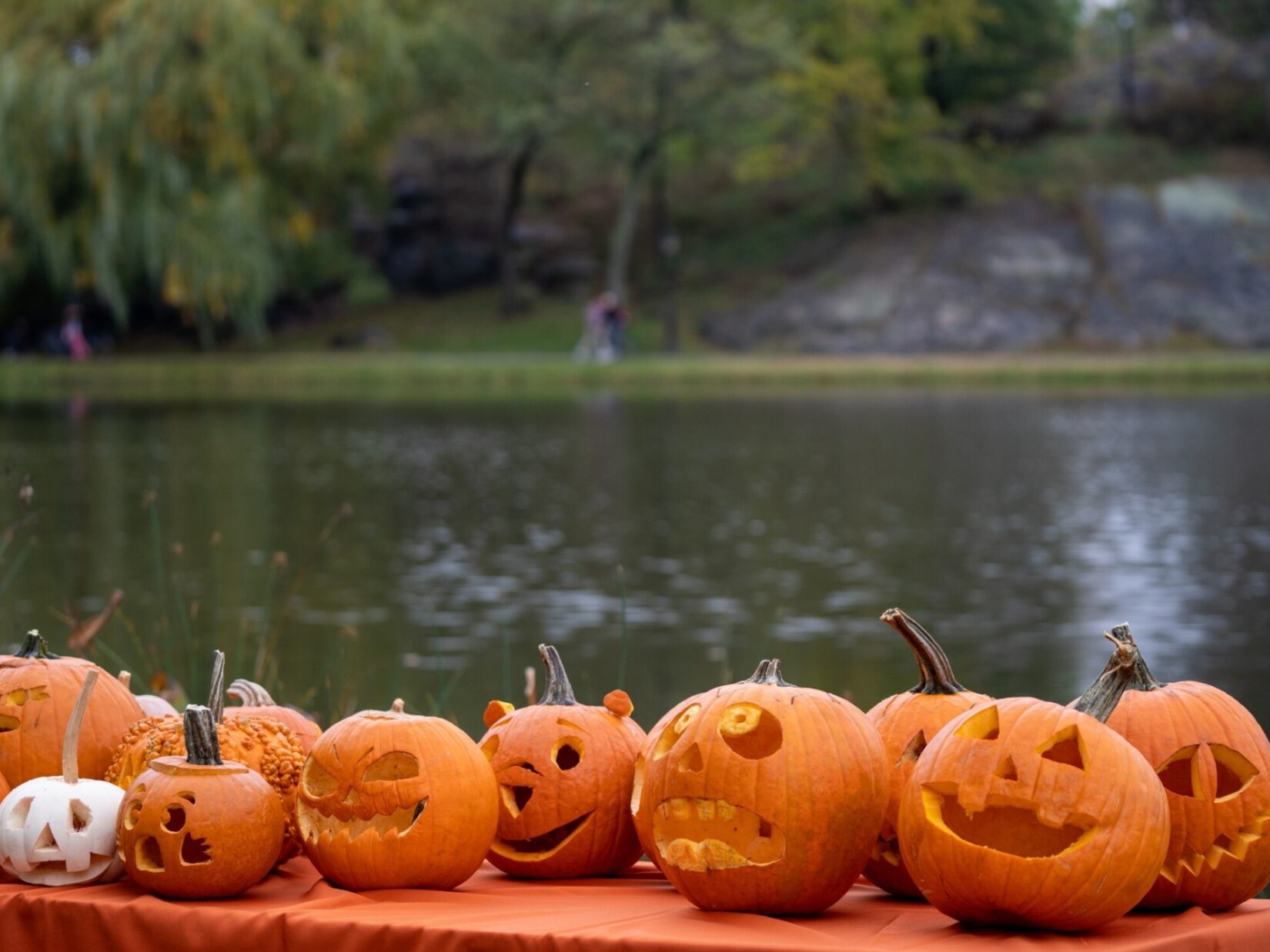 A variety of carved jack-o-lanterns are clustered on a table with the Meer as a backdrop.