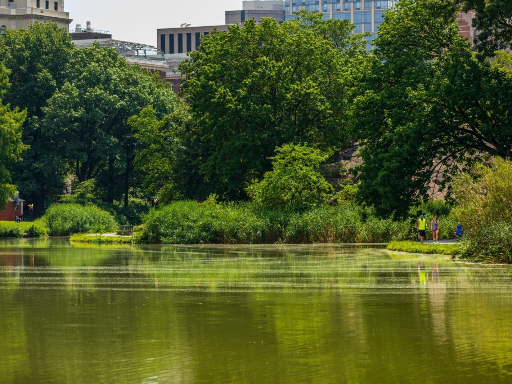 A couple stroll the banks of the Harlem Meer in summer