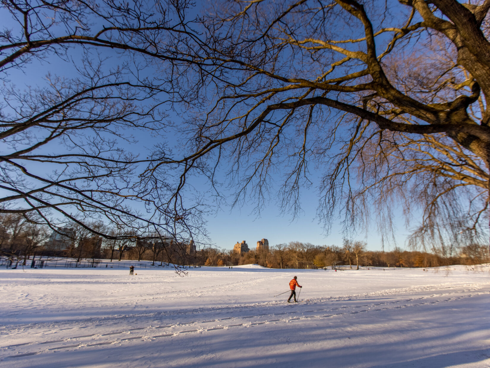 A cross-country skier makes their way across a snowy North Meadow