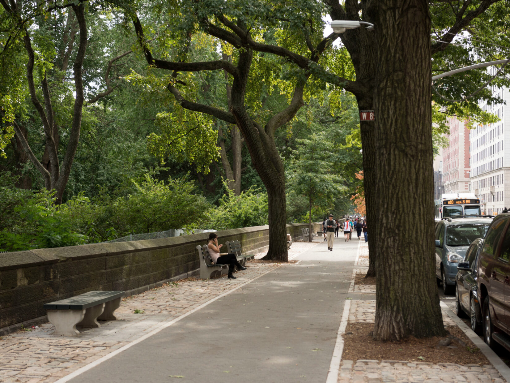 Women's Committee | Central Park Conservancy