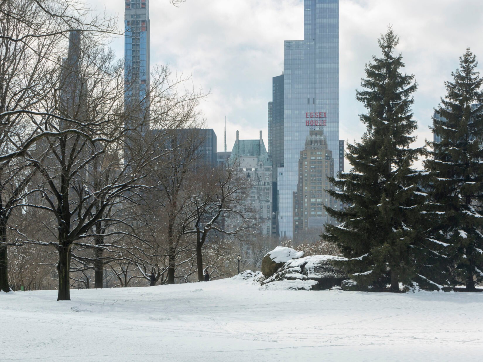 The Park under a blanket of thick snow