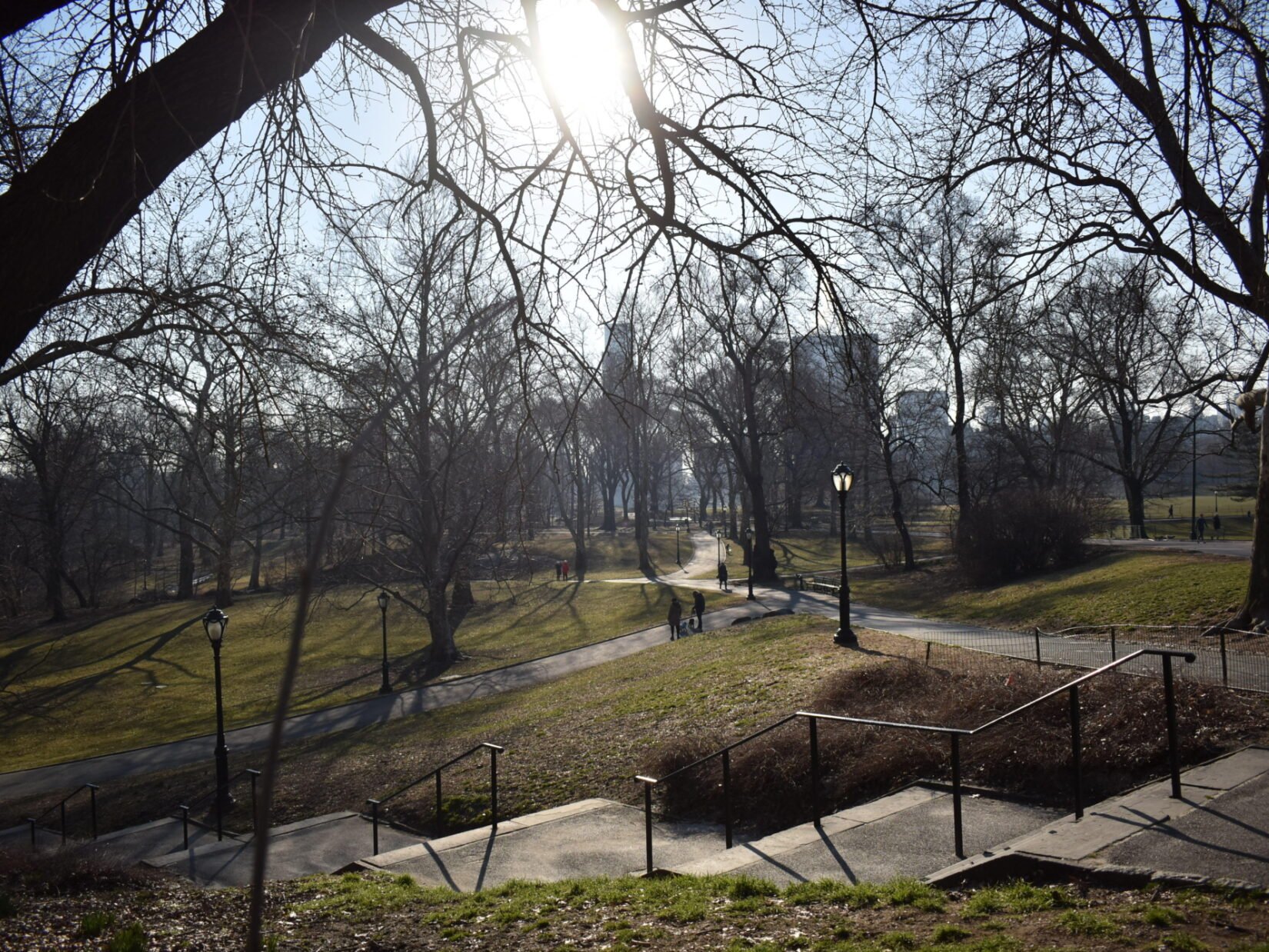 Steps and paths crisscross this leafless, dramatic view of the area near the Pool
