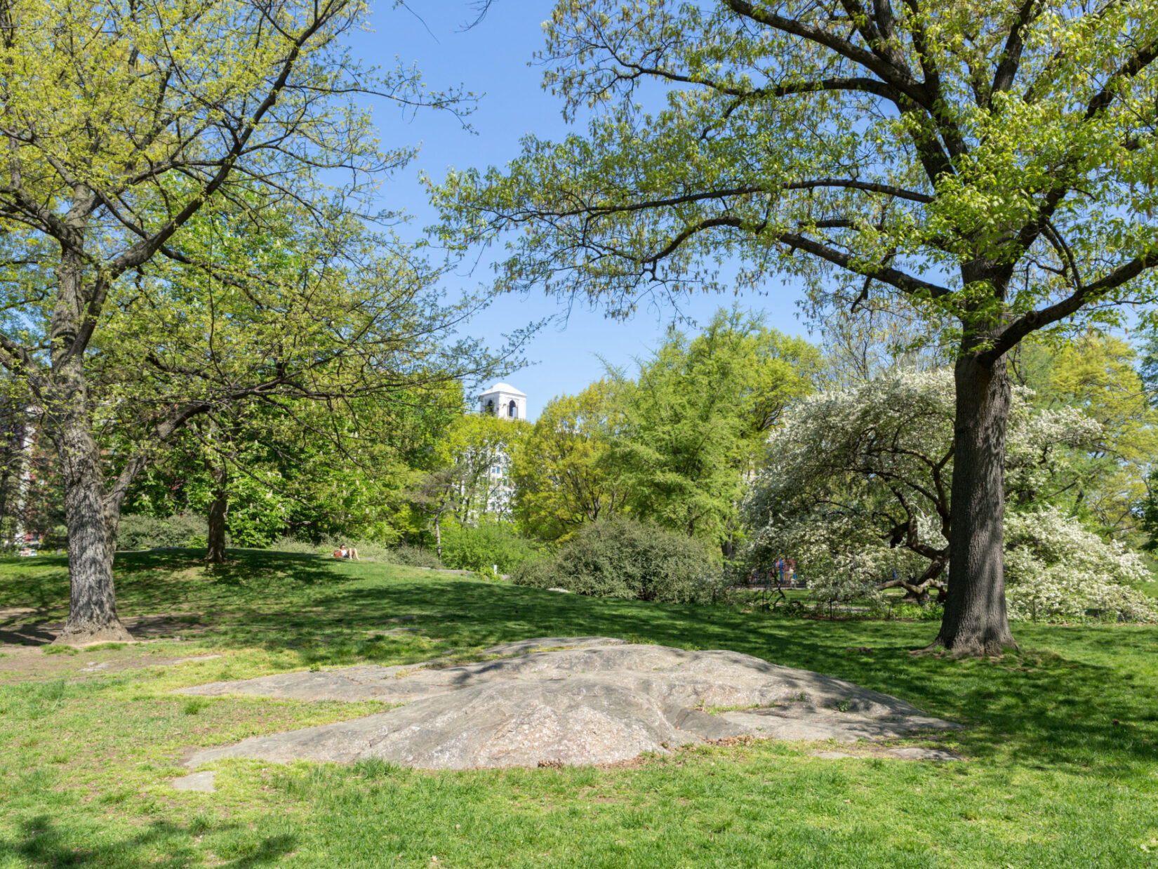 A rock outcropping at the Seneca Village site surrounded by trees in springtime