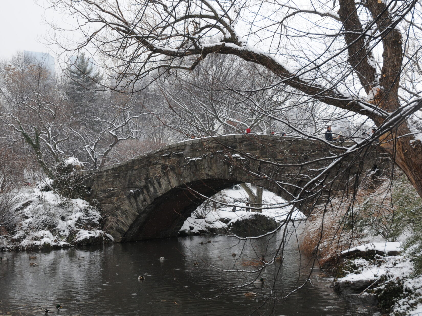 Park-goers cross the bridge spanning the Pond in winter
