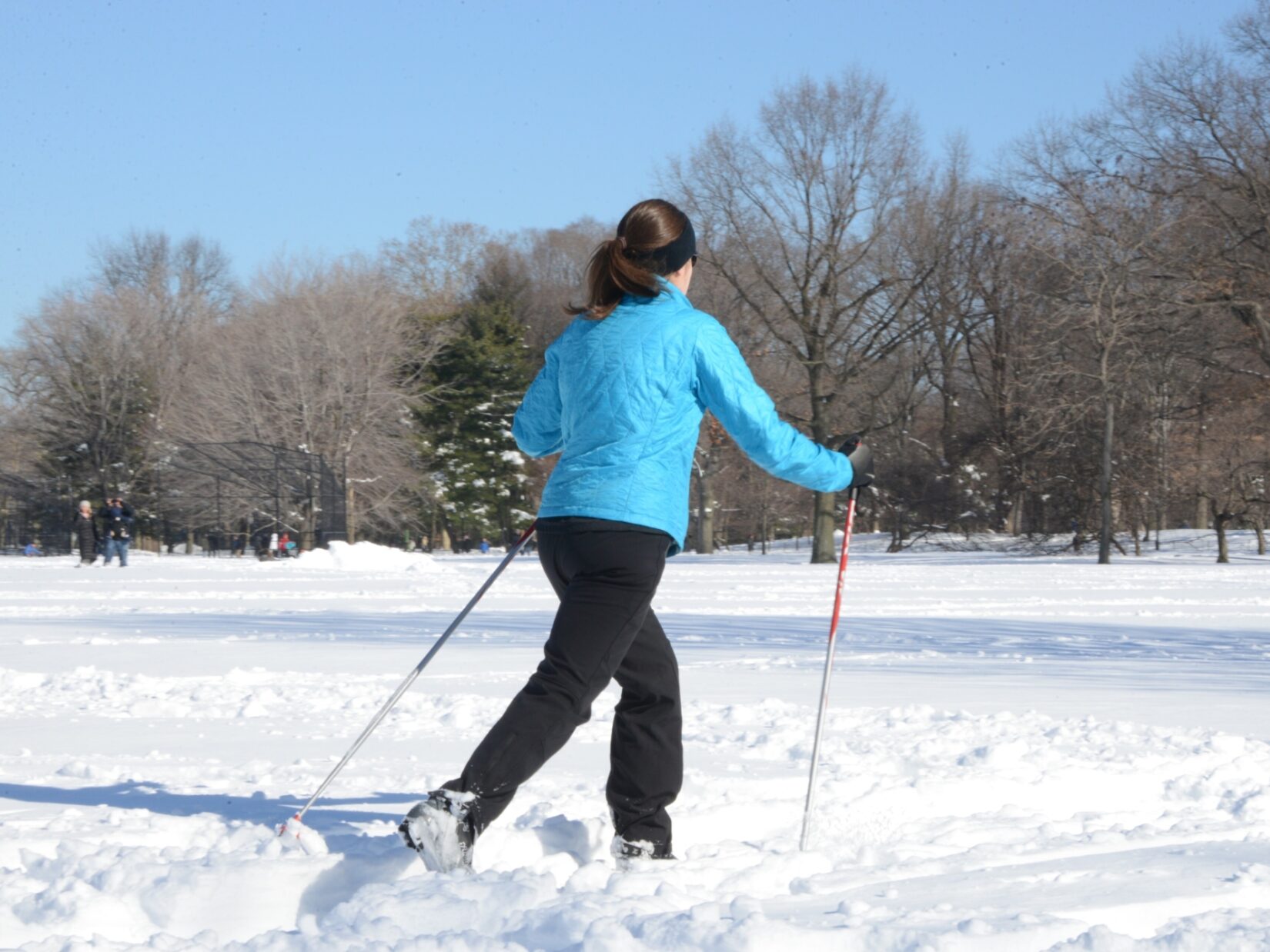 A cross-country skier crosses the Park, deep in show
