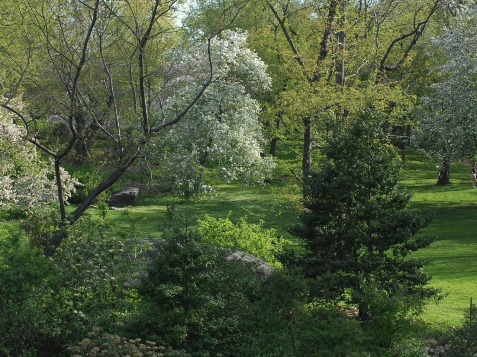 Seneca village