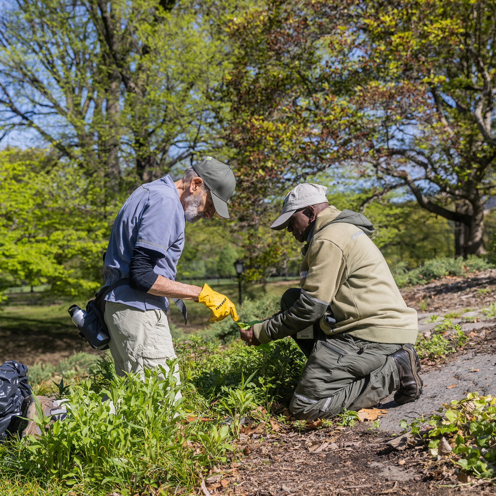 Two staff members working in the park landscape