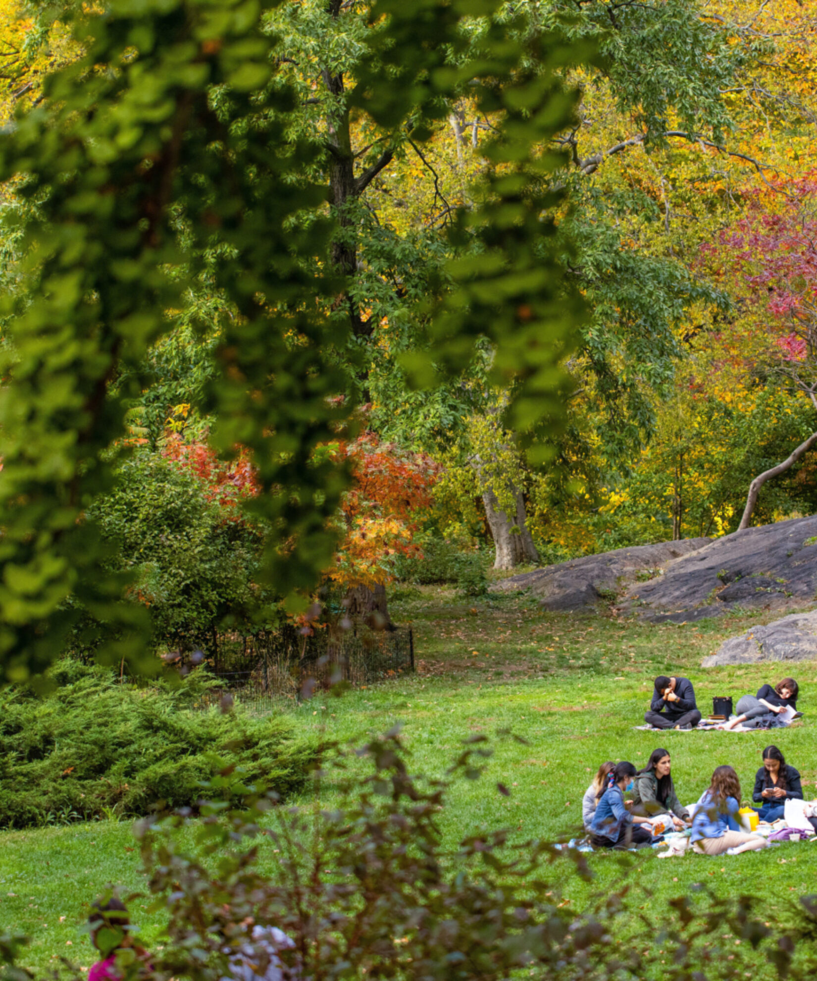 Friends relaxing in the park, surrounded by fall foliage