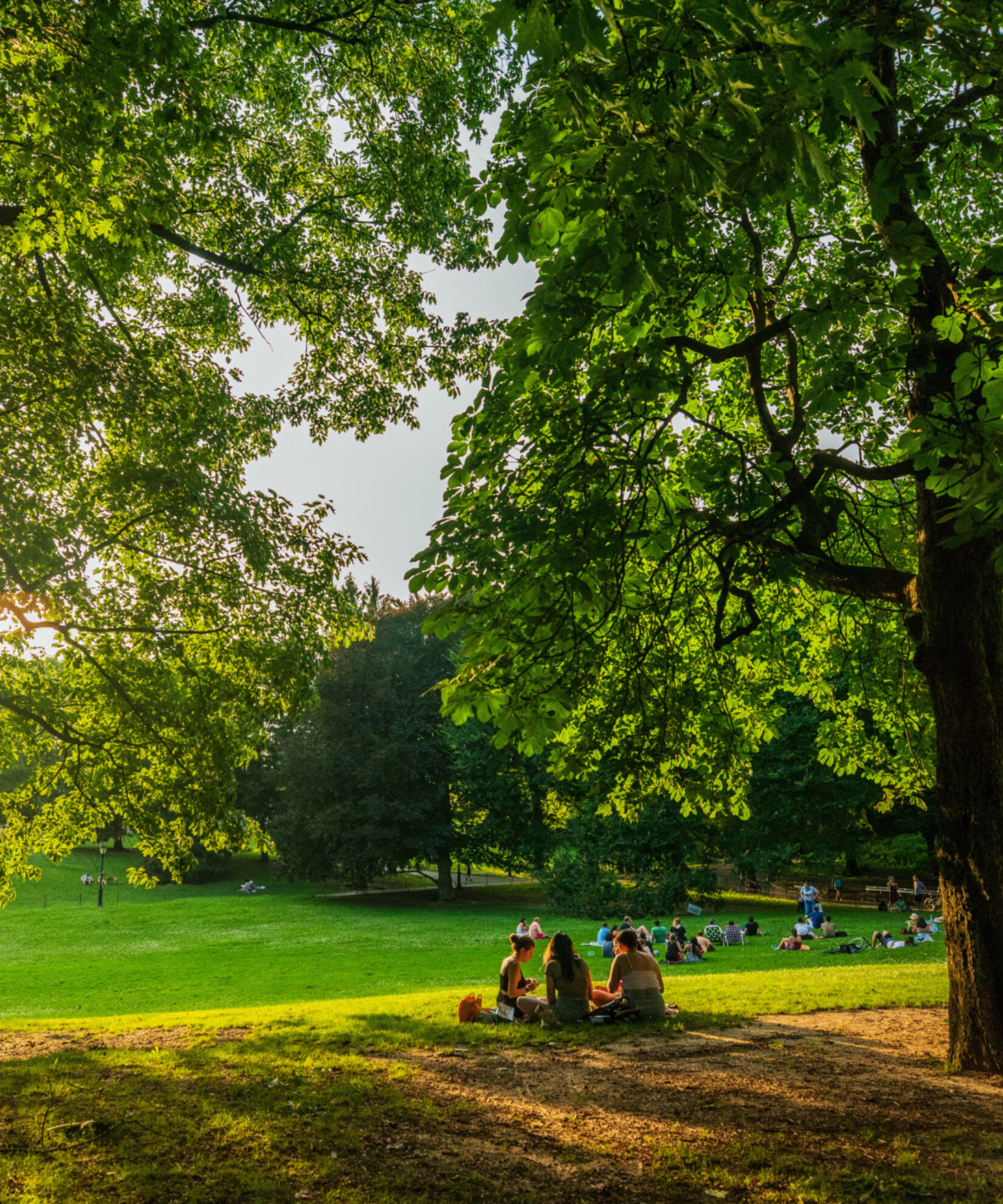 Visitors picnicking on Cedar Hill