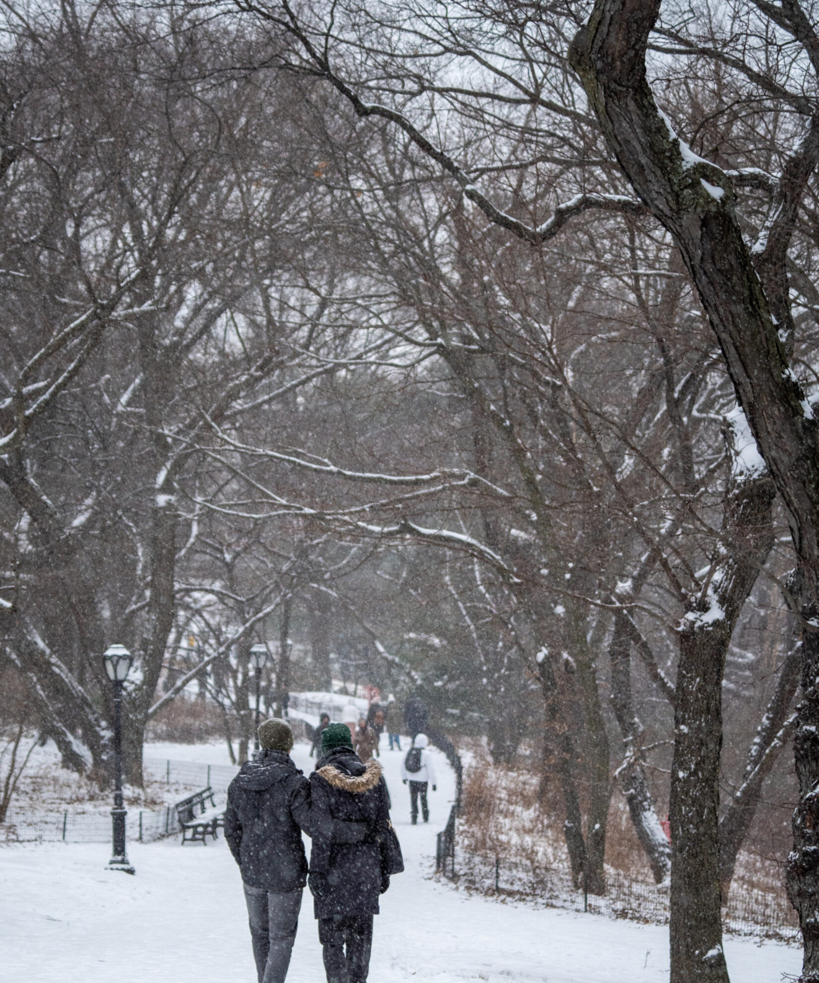 Two park goers shown bundled up for a winter stroll down a path