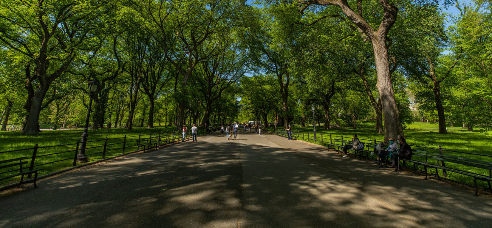 160 Years Of Central Park A Brief History Central Park Conservancy