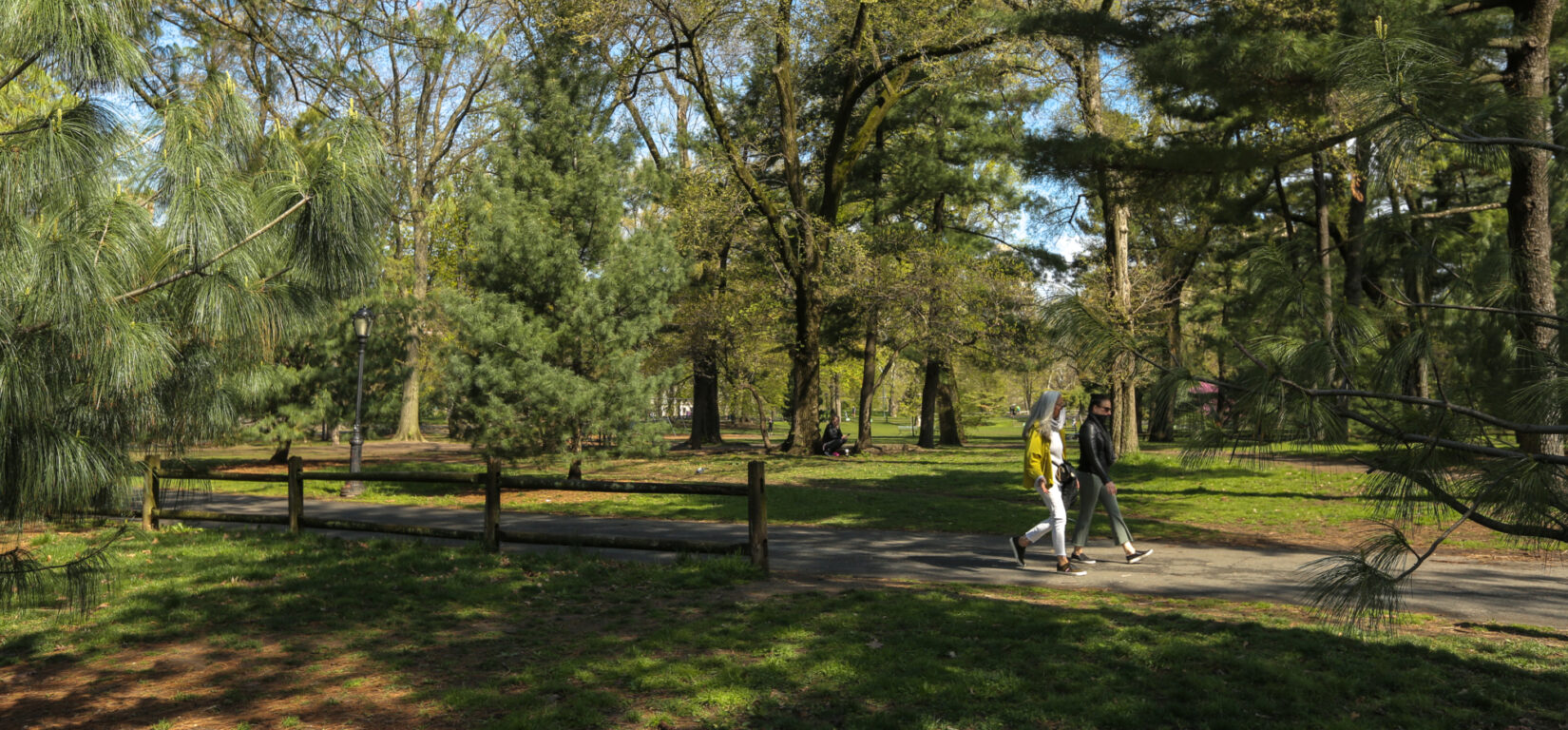 Two parkgoers stroll through the Arthur Rose Pinetum on a brisk, sunny day