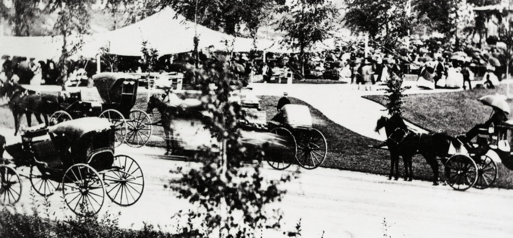 Carriages in Central Park, New York City, 1863. New-York Historical Society.