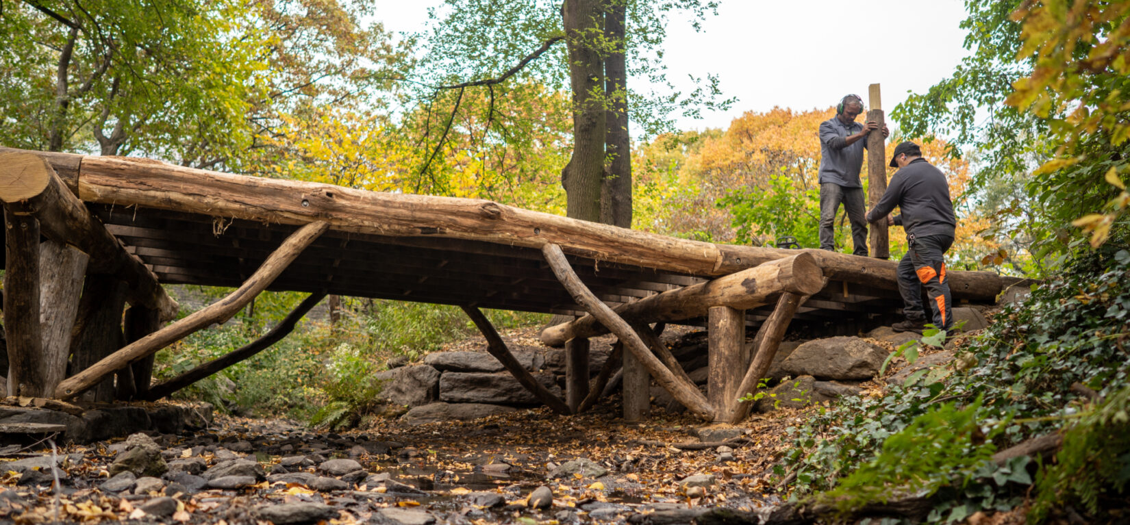 Conservancy staff members at work restoring a rustic bridge