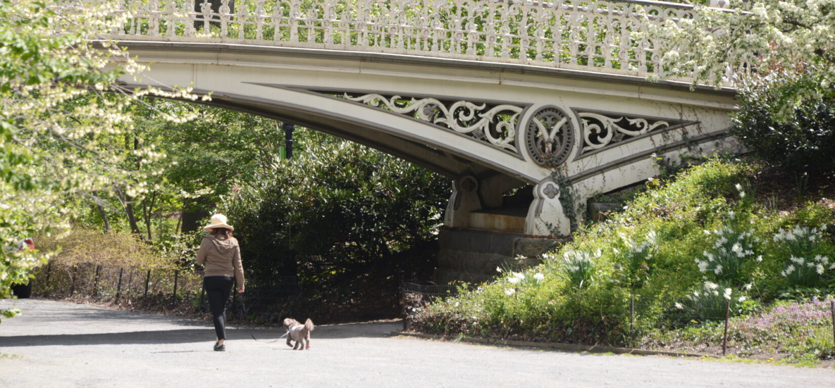 A woman walks her dog under the arch of Bridge 27 in spring