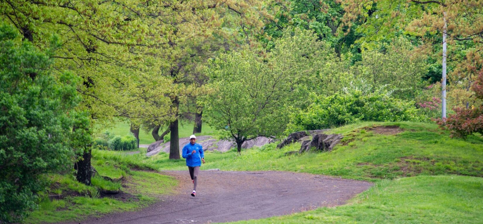A jogger runs through the trees along the Bridle Path in Central Park