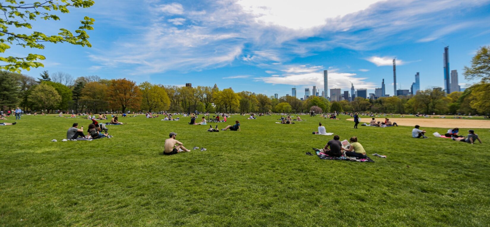 The Great Lawn in summer, with the skyline behind it