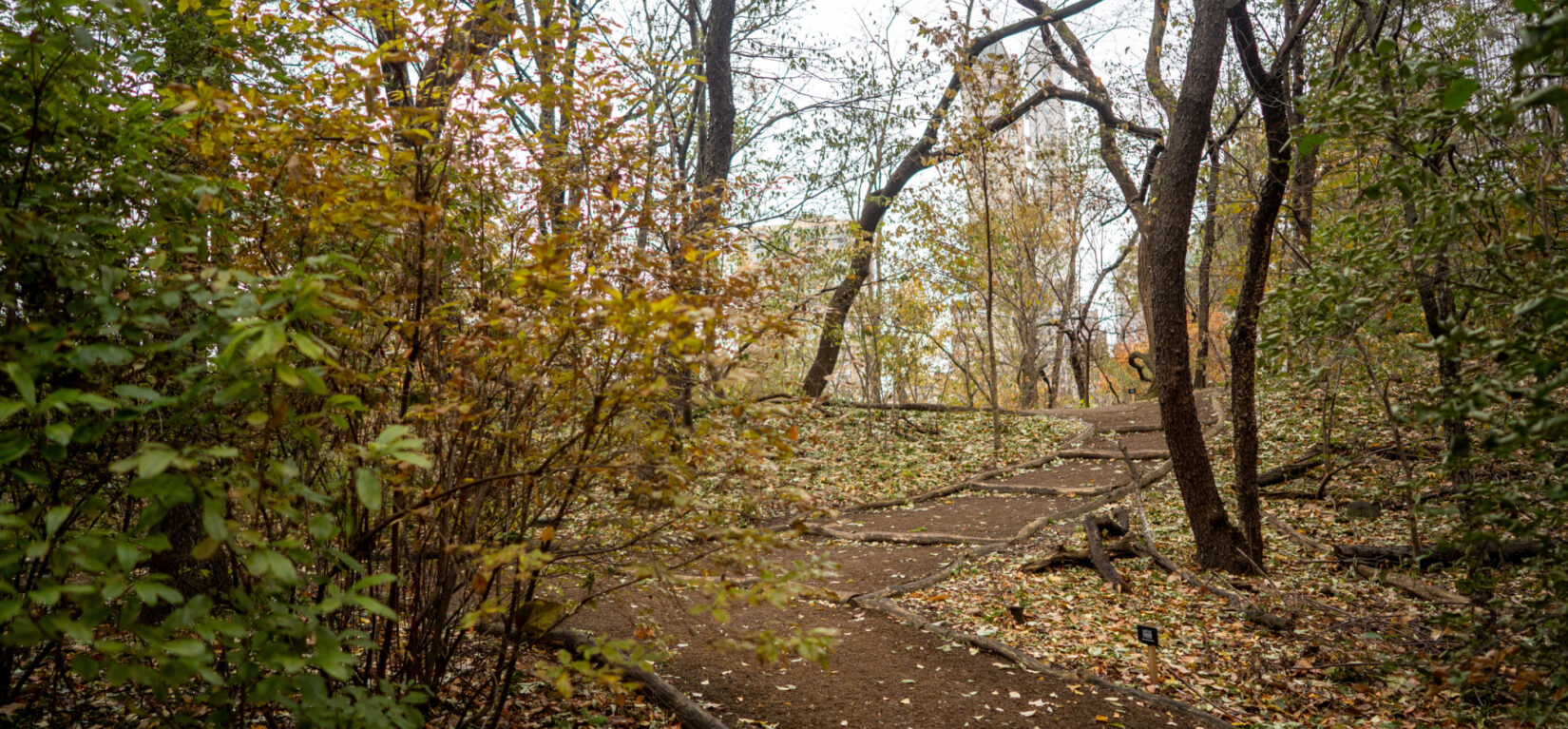 Hallett Nature Center Fall 20191118 06050