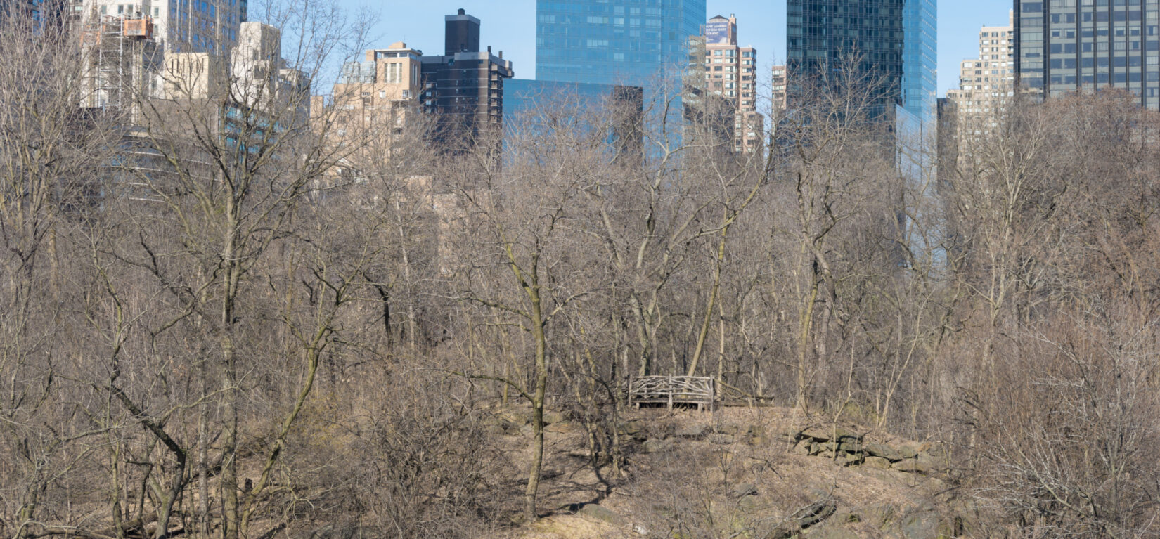 A rustic bench and the skyline of midtown Manhattan are seen through the bare branches of the Sanctuary in winter.
