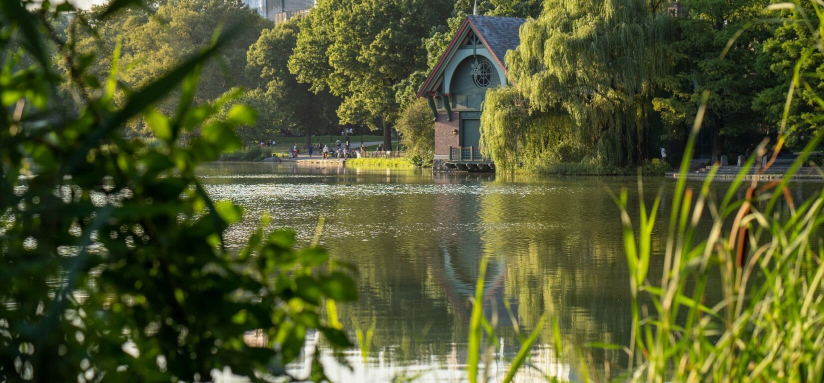 The view across the surface of the Meer, with the surrounding greenery reflected in the water at dusk.